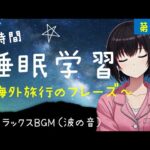 【睡眠学習】聞き流し！海外旅行で役立つ英会話８時間！波の音♪第２弾！