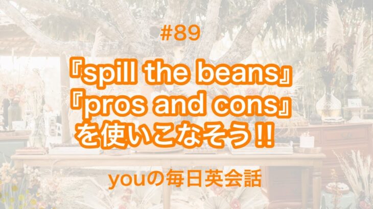 【#89】『spill the beans』や『pros and cons』を使った日常会話例２選‼︎