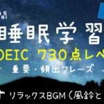 【睡眠学習】英語リスニング！TOEIC初心者向け８時間！目指せ７３０点！第２弾！聞き流し！