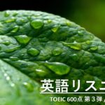 【TOEIC 600点】英語聞き流し！最重要単語・頻出フレーズ100選！4Kの大自然の中でリラックス！第３弾