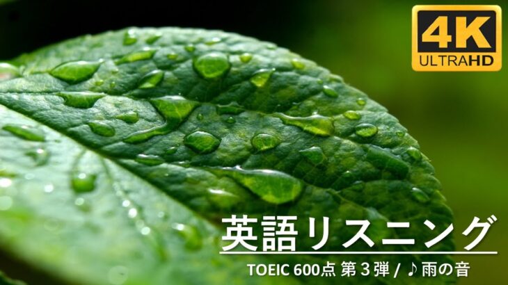 【TOEIC 600点】英語聞き流し！最重要単語・頻出フレーズ100選！4Kの大自然の中でリラックス！第３弾