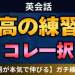 【全YouTube英語学習者へ】英語が本気で伸びる最高の学習法。ついやってるいつもの勉強法はやめて