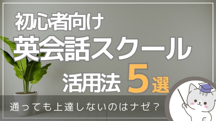 【ただ通うだけじゃ効果ナシ！】初心者が英会話スクールを最大限活用する方法５選