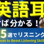 【初級・聞き流し英語】日常英会話がスッと耳に入る！225フレーズで英語耳を作るリスニング法