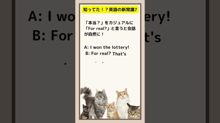 知ってた!?英語の新常識７ #英語が話せるようになりたい #英語 #社会人英語 #英語が話せるようになりたい #cat #toeic