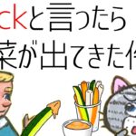 英語のsnackの意味は？日本語の「スナック」との違い(スナック菓子とバーの意味)