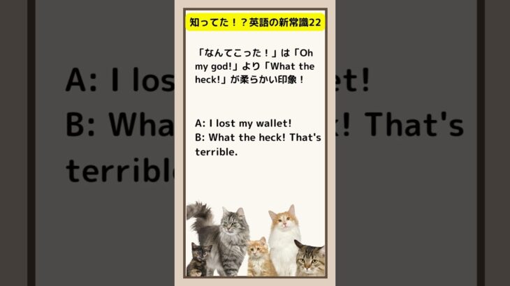 知ってた!?英語の新常識２２ #英語が話せるようになりたい #英語 #社会人英語 #英語が話せるようになりたい #cat #toeic