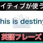 【ネイティブが毎日使う】簡単な英語表現・フレーズ｜聞き流しリスニング