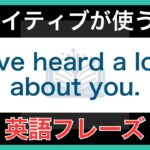 【ネイティブが毎日使う】簡単な英語表現・フレーズ｜聞き流しリスニング