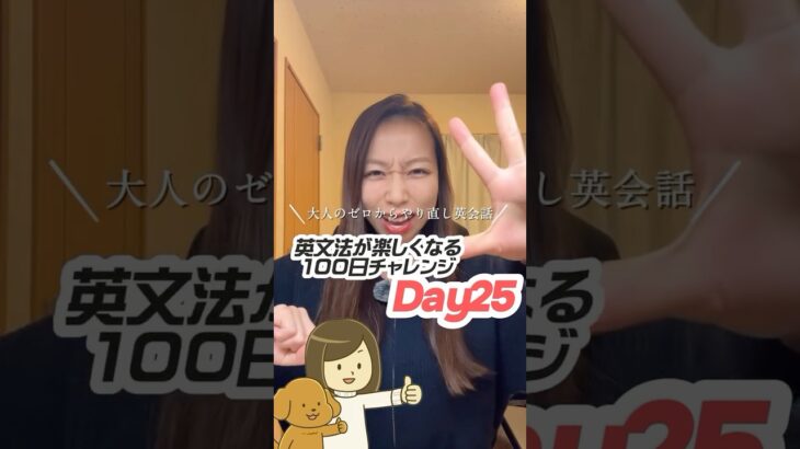 【英会話超初心者向け】英文法やり直し100日チャレンジDay25🐶👩 #やり直し英語 #英語力ゼロ #日常英会話 #英会話 #英会話初心者勉強