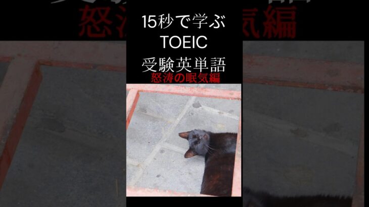 15秒で学ぶTOEIC・受験英単語 怒涛の眠気編 #英語 #英会話 #海外留学 #英語学習 #shorts #toeic #英検  #留学 #英単語 #受験英語 #大学受験 #受験 #受験生